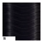 1N