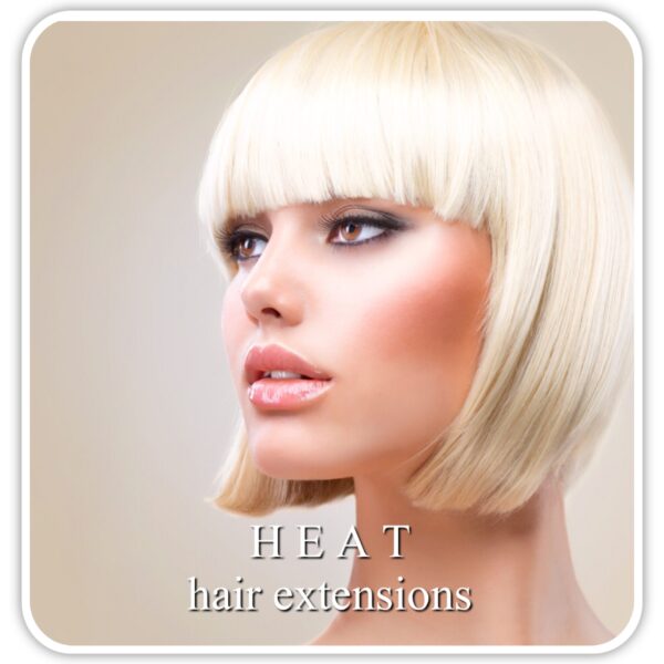 heat-hair-extensions-img_3935