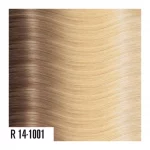 R14/1001