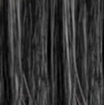 1B/40%GREY